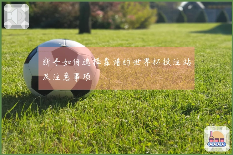 新手如何选择靠谱的世界杯投注站及注意事项