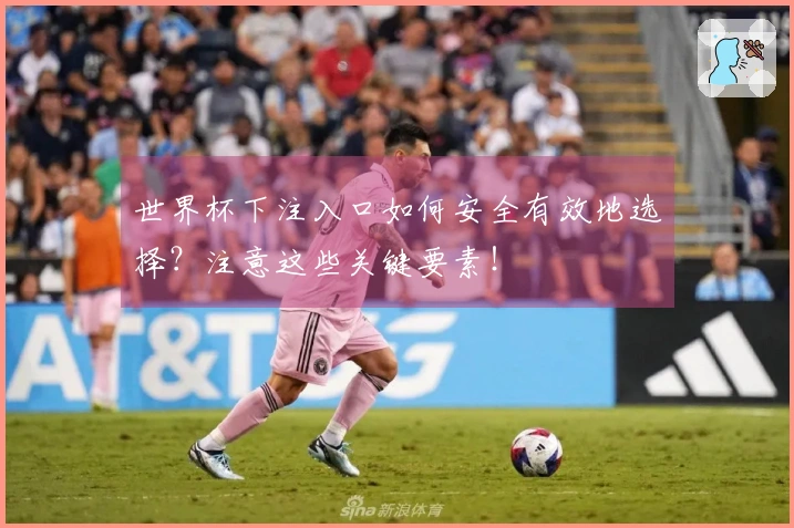 世界杯下注入口如何安全有效地选择？注意这些关键要素！